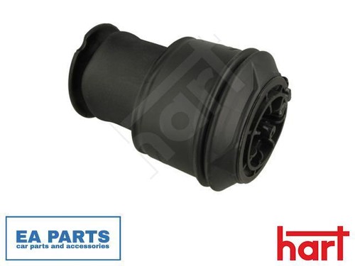 Air spring suspension - air,
