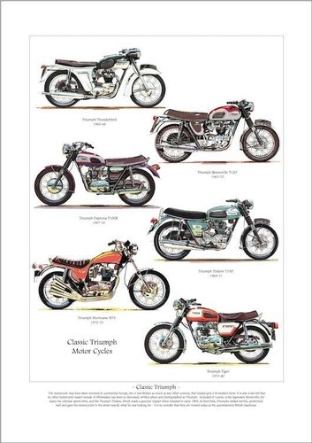 Triumph motor cycles art - triumph,