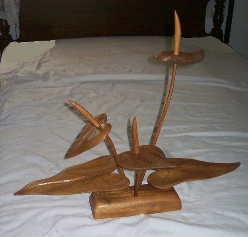 Vintage house monkey pod - vintage, of