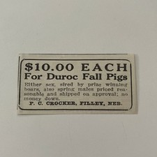 Duroc Fall Pigs F. C. Crocker