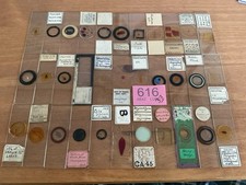 Collection Of Vintage Microscope Slides X 33 (lt616)