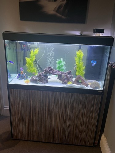 Fluval roma 200 litre fish - roma,