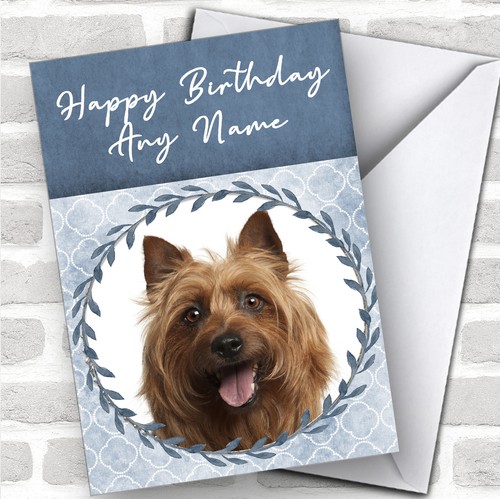 Australian terrier dog blue - australian,