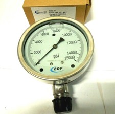 Gauge 4" Face SS Case 0-15000