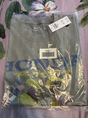 Hollister men heavyweight - men’s,