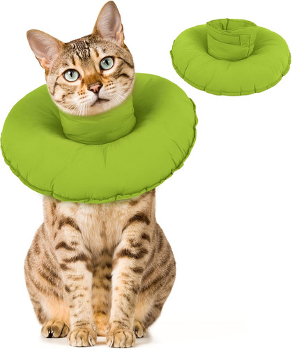 Cat donut collar buster - cat,