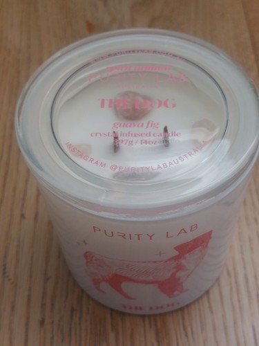 Purity lab the dog - lab, candle