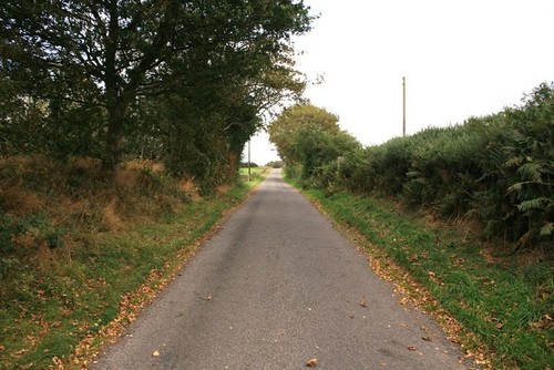 Photo coppermine lane near - photo,