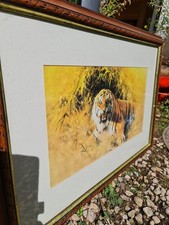 David Shepherd Tiger Fire Print 1973 Framed plus free print by DYH