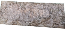 Caucasian Burr Walnut Veneer 2