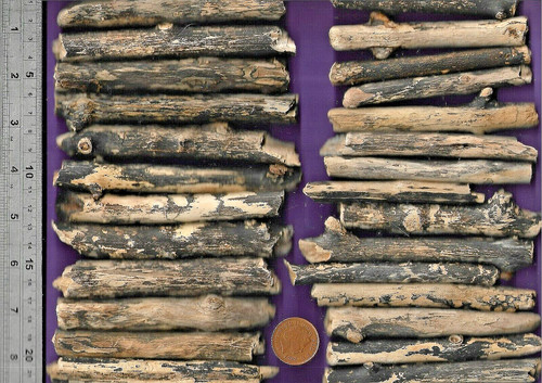 North sea driftwood - north,