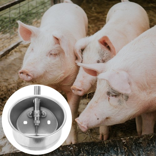Stainless steel drinking bowl - stainless,