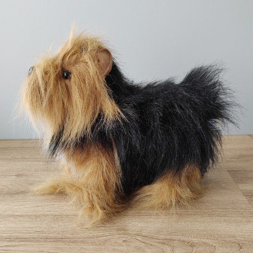 Hansa yorkshire terrier dog - yorkshire,