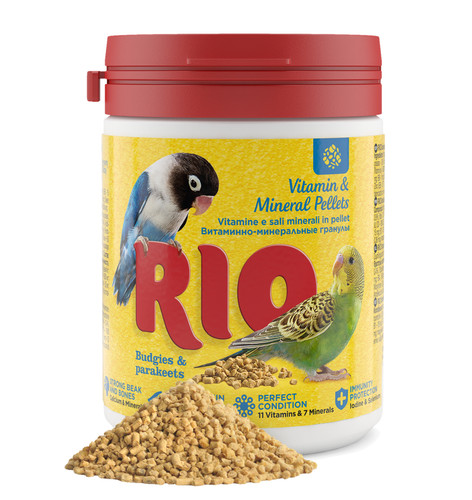 Rio small bird budgie - small,