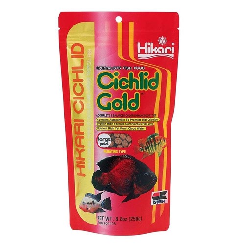 Hikari cichlid gold - cichlid,