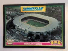 1992 Merlin WWF Gold Series #1