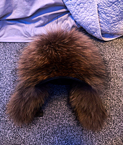 Black ushanka hat with - ushanka, brown