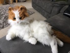 FurReal Friends Lulu My Cuddlin' Kitty Interactive Electronic Pet. Fully Working