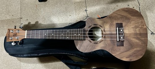 Tanglewood tribal spirit tenor - tribal,
