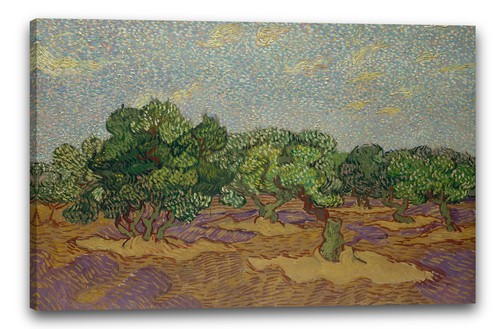 Canvas frames vincent van - van, gogh