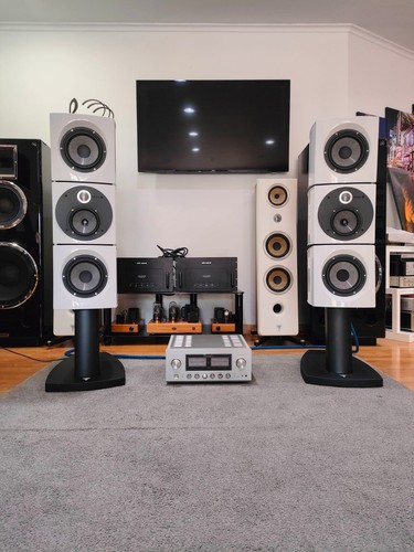 Focal viva utopia evo pair - focal,