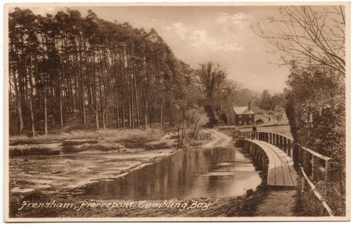 511 printed postcard - 511/printed, of