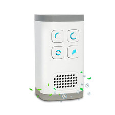 Mini Plug-In Air Purifier