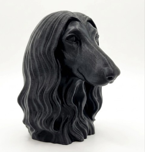 Afghan hound dog bust home - -,