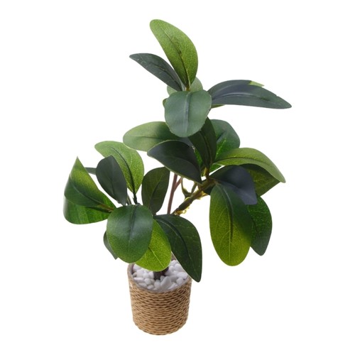 Miniature plant potted - plant, green