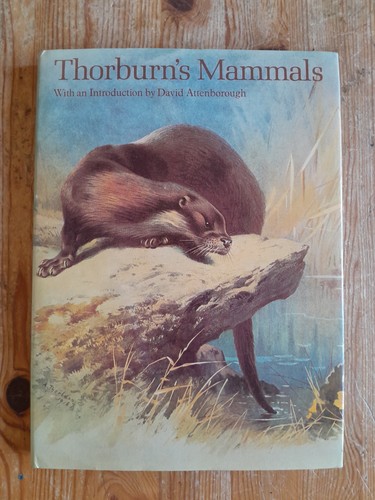 Thorburn mammals vintage - thorburn's,