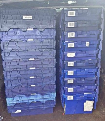 Tote storage crocodile boxes - crocodile,