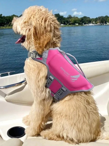 Dog life jacket lightweight - dog,