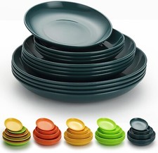 Plastic Plates Set of 12