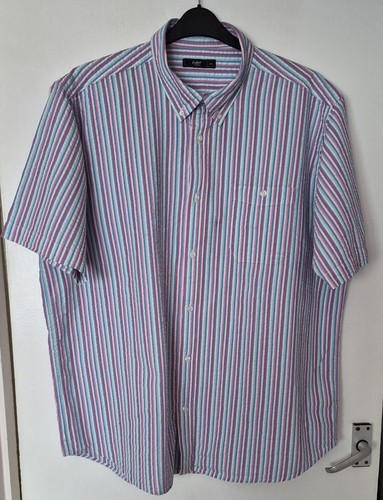 Cotton traders men short - cotton, men's