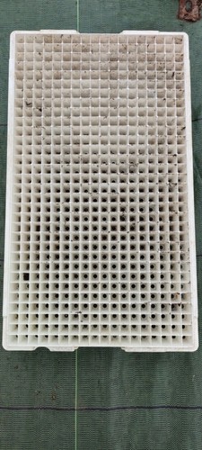 576 cell seed starter plug - cell,