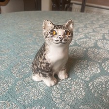 Winstanley Tabby fat Kitten