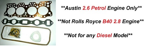 Austin champ - austin,