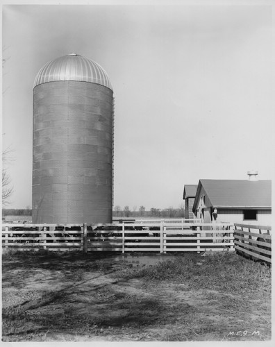 1950s 8x10 martin - martin, self