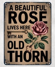 A Beautiful Rose Old Thorn