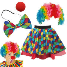 Womens clown fancy dress