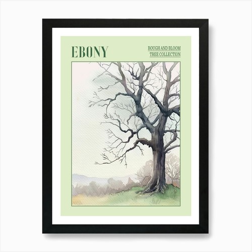 Ebony tree atmospheric - tree,