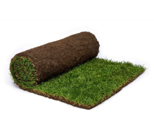 Turf premium quality local - turf,