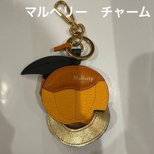 Mulberry women wallet - women, elegant
