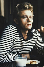 JAMES DEAN POSTER 3