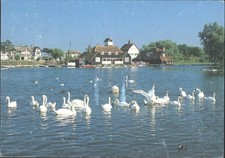 Thorpeness, The Meare Swans