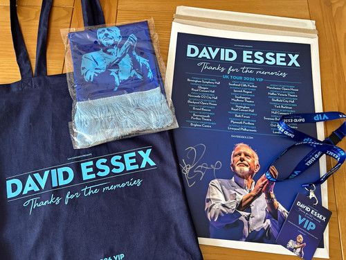 David essex vip - tour, concert
