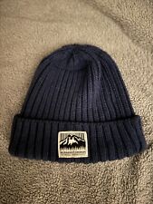 MT Rainier Design Beanie Oi Polloi
