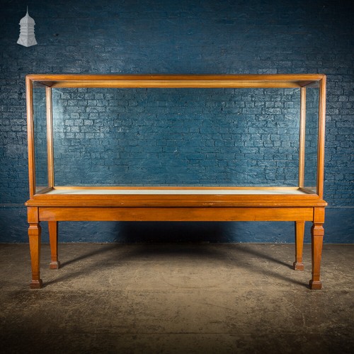 Museum display cabinet 9ft - museum,