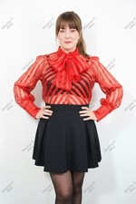 Sheer Red Diagonal Stripe