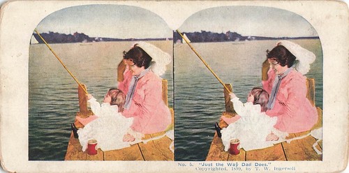 Stereoscopic view card - view, no5